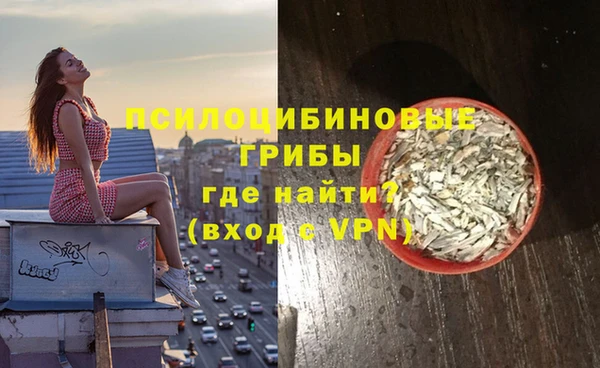 мдпв Балахна