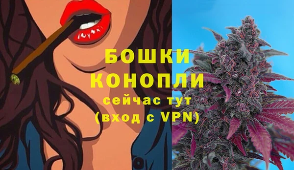 дурь Пролетарск
