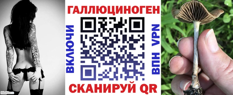 продажа наркотиков  Верея  Псилоцибиновые грибы Cubensis 