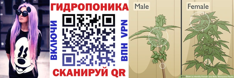 где найти наркотики  Верея  Марихуана план 